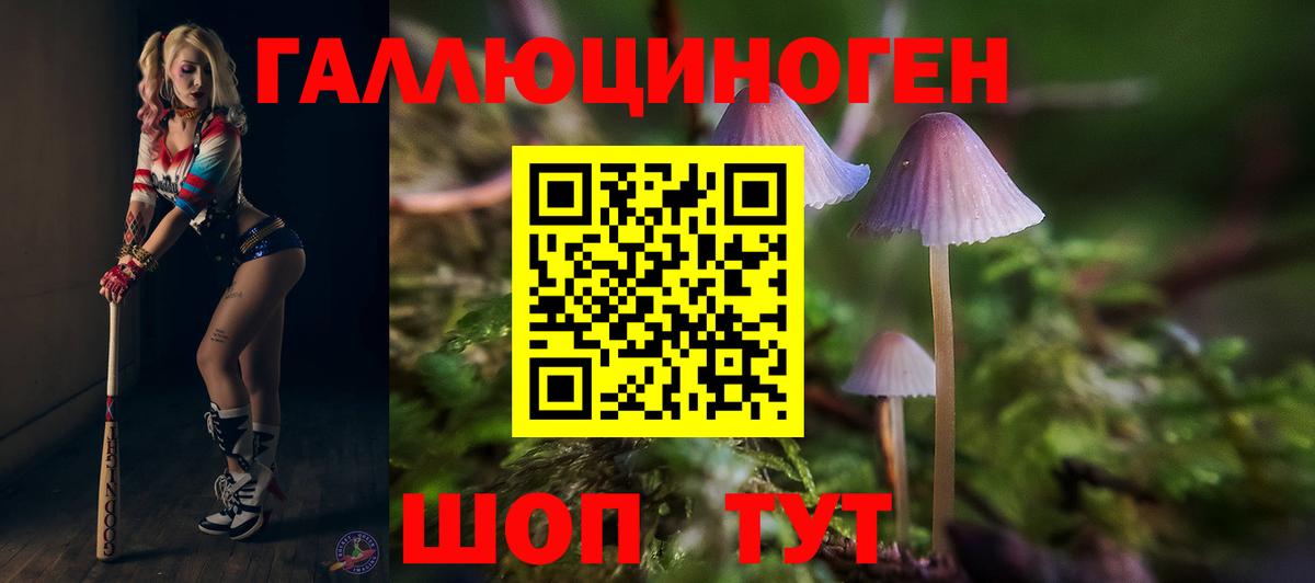 цены наркотик  Галлюциногенные грибы прущие грибы  Вход с VPN  Гуково 